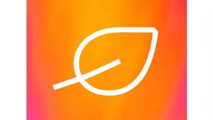 Flotte Renault EASY CONNECT